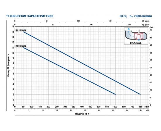 Насос Pedrollo BC 15/50 -N 48SGM82A0AU – изображение 2