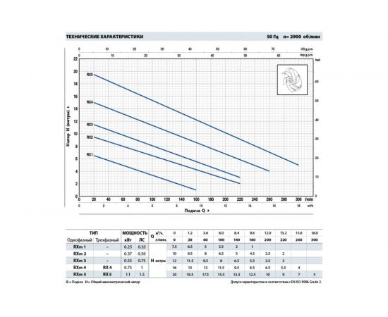 Дренажный насос для чистой воды Pedrollo RXm 1 48TXP11A1 – изображение 4