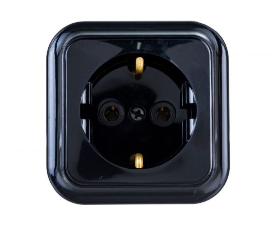 Розетка Bylectrica 1-местная ОУ с заз.конт., серия ПРАЛЕСКА, черный, РА16-254 черный 