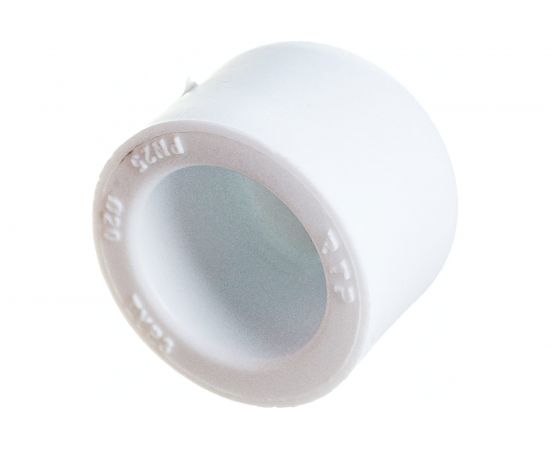 Заглушка RTP PN25 D20 10548 – изображение 2