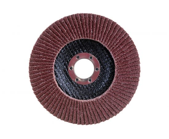 Круг лепестковый плоский Pro (125х22 мм; Р60) Flexione 10000685 – изображение 2