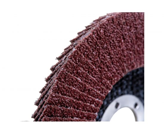 Круг лепестковый плоский Pro (125х22 мм; Р60) Flexione 10000685 – изображение 3