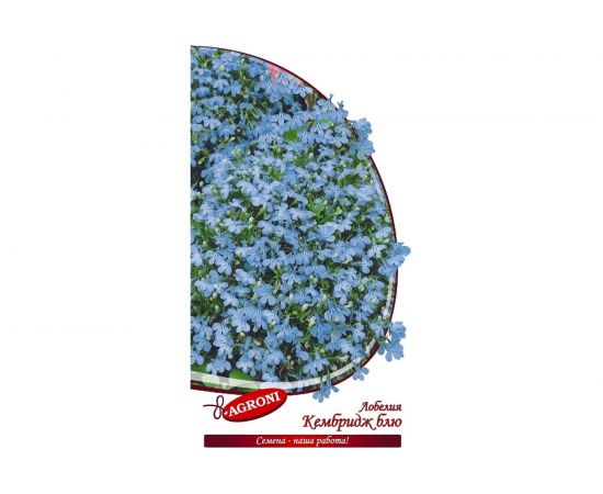 Семена Агрони Лобелия КЭМБРИДЖ БЛЮ 5619 