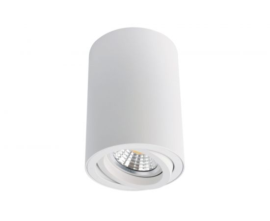 Потолочный светильник Arte Lamp A1560PL-1WH 