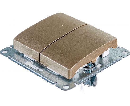 2-клавишный выключатель Schneider Electric GLOSSA 10АХ, ТИТАН GSL000451 – изображение 3