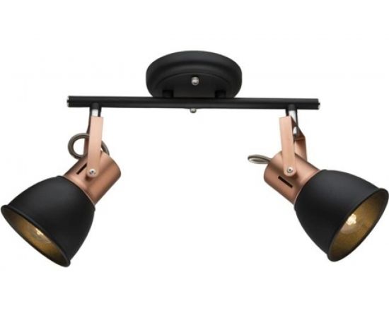 Потолочный светильник Arte Lamp A1677PL-2BK 