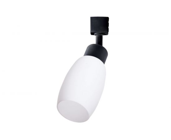 Потолочный светильник Arte Lamp A3055PL-1BK 