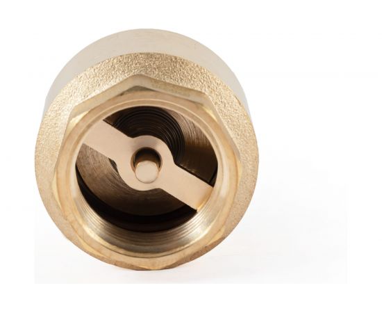 Обратный клапан PROFACTOR с латунным штоком, для насосов в/н 1"" PF CV 242FM – изображение 5