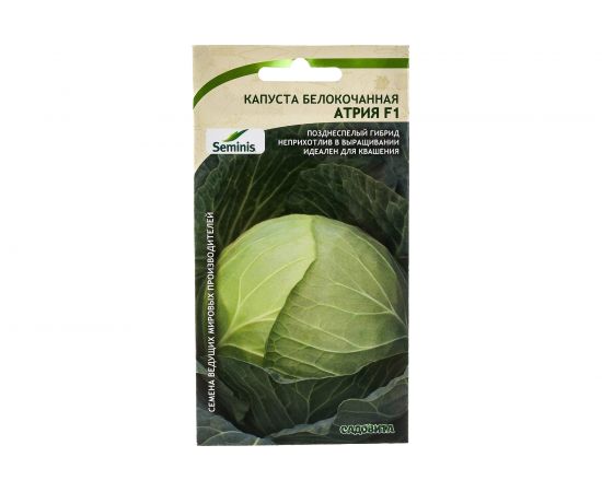 Семена САДОВИТА Капуста Атрия белокочанная F1 10 семечек 00140097 – изображение 4
