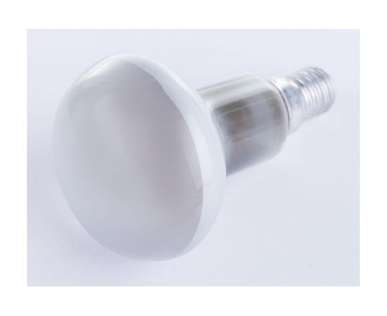 Лампа накаливания OSRAM направленного света CONC R50 SP 25W 230V E14 FS1 4052899180468 – изображение 2