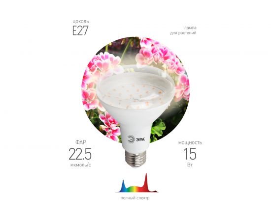 Лампа ЭРА полного спектра FITO-15W-Ra90-E27 Б0039173 – изображение 2