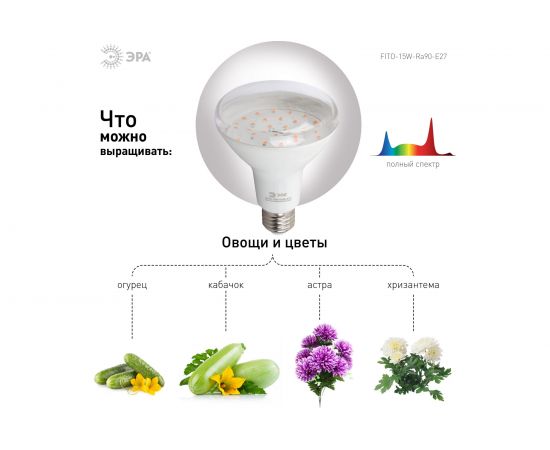 Лампа ЭРА полного спектра FITO-15W-Ra90-E27 Б0039173 – изображение 5