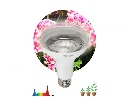 Лампа ЭРА полного спектра FITO-15W-Ra90-E27 Б0039173 – изображение 6