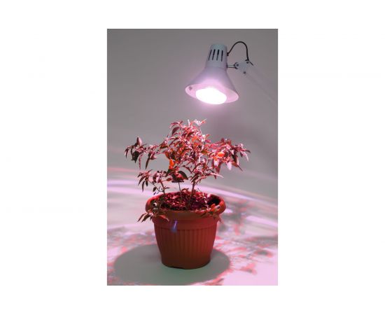 Лампа ЭРА полного спектра FITO-15W-Ra90-E27 Б0039173 – изображение 7