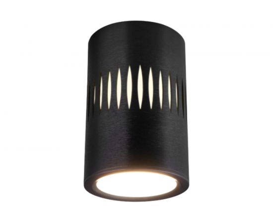 Стационарный светодиодный светильник Elektrostandard DLS026 черный a052837 