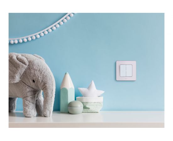 Двухклавишный выключатель Legrand - INSPIRIA - 10 AX - 250 В - белый 673620 – изображение 4