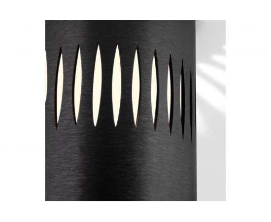 Стационарный светодиодный светильник Elektrostandard DLS026 черный a052837 – изображение 5