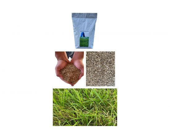 Семена газонной травы А-Стандарт Травосмесь Спортивная 3 кг 01-00003848 – изображение 2