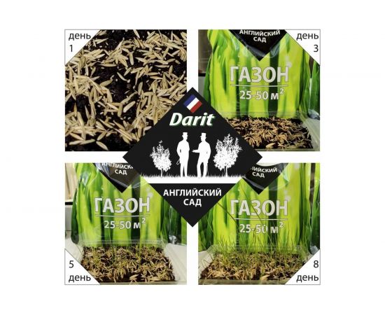 Газон DARIT Английский сад 900 г 115630 – изображение 3
