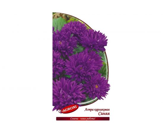 Семена Агрони Астра карликовая СИНЯЯ 2878 