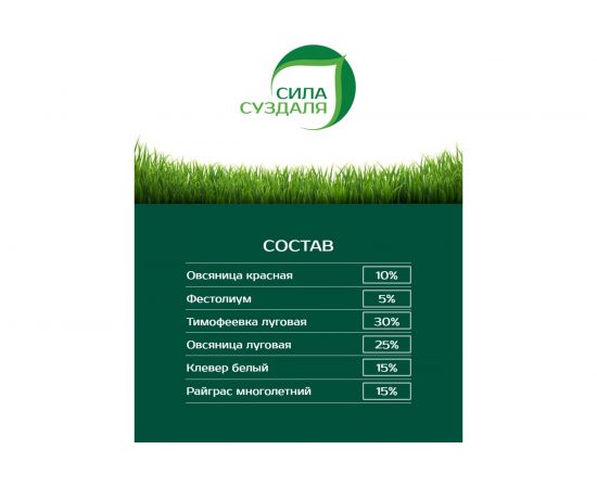 Газонная травосмесь Сила Суздаля Низкорослый 1 кг GTNK001 – изображение 2