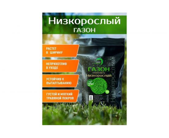 Газонная травосмесь Сила Суздаля Низкорослый 1 кг GTNK001 – изображение 3