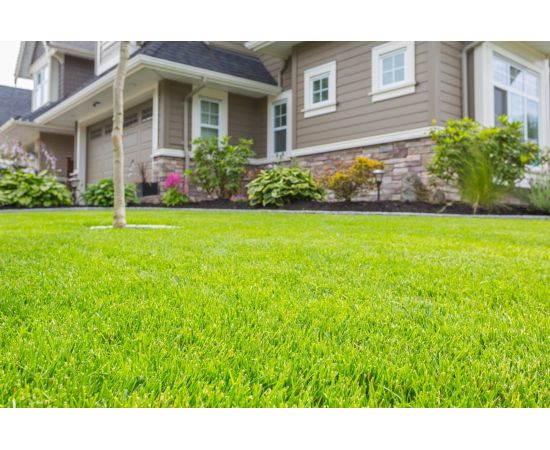 Газонная травосмесь Сила Суздаля Низкорослый 1 кг GTNK001 – изображение 5