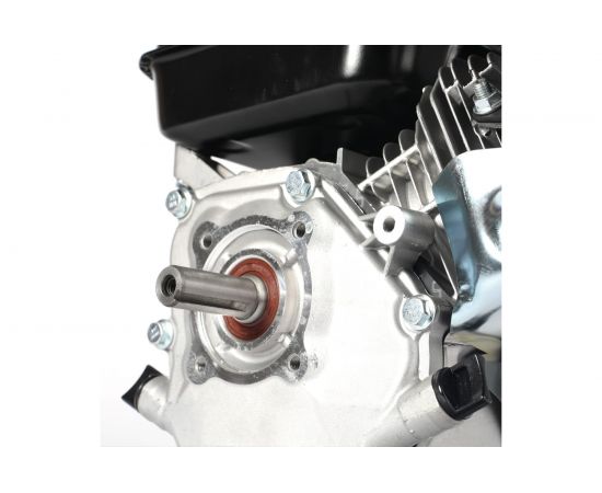 Двигатель P170 FB-20 M (7 л.с.) PATRIOT 470108171 – изображение 6