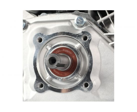 Двигатель P170 FB-20 M (7 л.с.) PATRIOT 470108171 – изображение 8