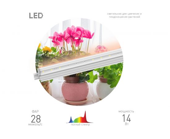 Линейный светильник полного спектра ЭРА FITO 14W T5 Ra90 Б0049312 – изображение 5