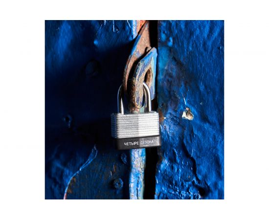 Навесной замок ЧЕТЫРЕ СЕЗОНА ССН-30 79-0133 – изображение 4