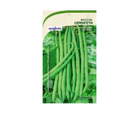 Семена САДОВИТА Фасоль Серенгети 10 семечек 00132391 