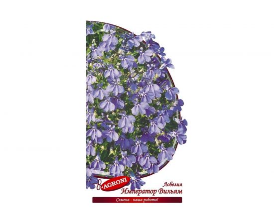 Семена Агрони Лобелия ИМПЕРАТОР ВИЛЬЯМ 3455 