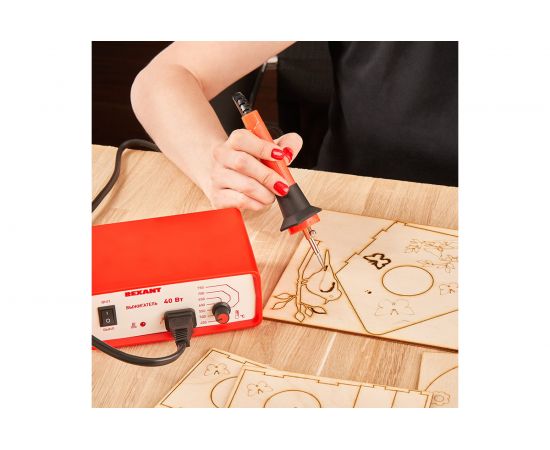 Набор для выжигания аппарат REXANT и 3D модель Кормушка для птиц 12-0934-2 – изображение 9