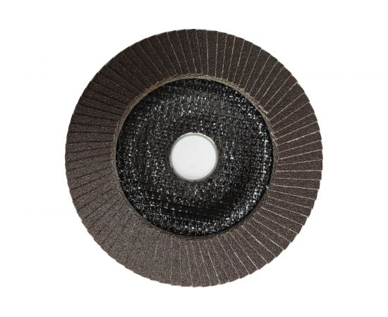 Круг лепестковый торцевой Rodex (125 мм; P120) Bull RZF1225 – изображение 2