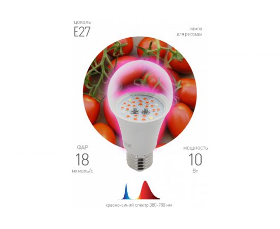 Светодиодная фитолампа для растений ЭРА FITO 10W RB E27 красно-синего спектра Б0050600 – изображение 3