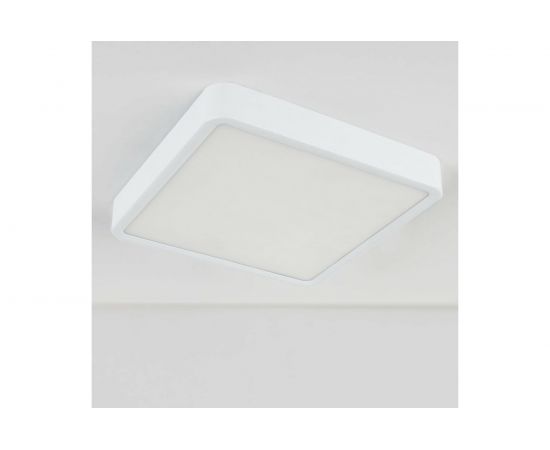 Светодиодный стационарный светильник Elektrostandard DLS034 24W 4200K a043018 – изображение 4