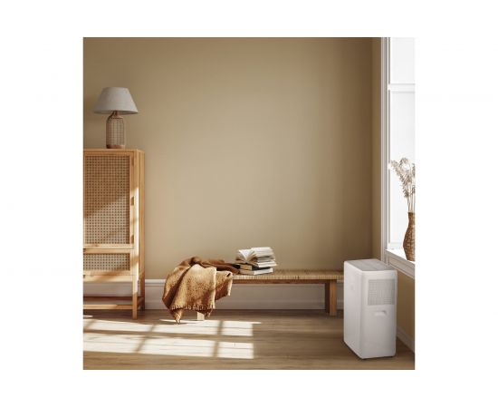 Мобильный кондиционер Electrolux EACM-09 XN/N6 НС-1407228 – изображение 9