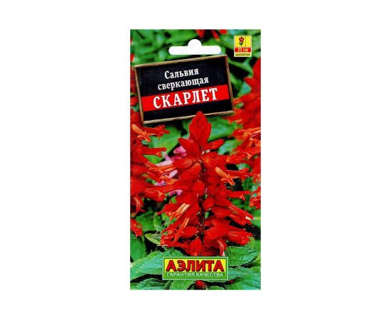 Семена Аэлита Сальвия сверкающая Скарлет однолетний, 0.1 г 4601729071850 