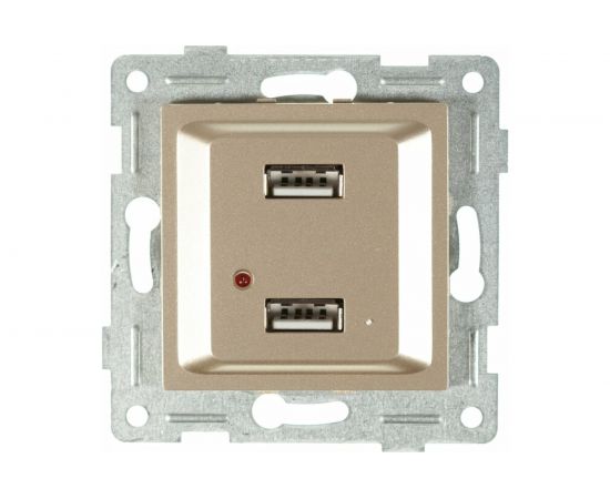 Механизм розетки GUSI ELECTRIC Ugra USB, двойной, СУ, шампань С11USB2-027 