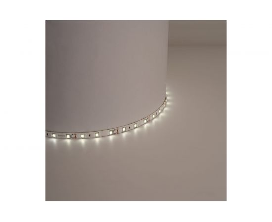 Лента FERON LEDх60/м, 5м, 4.8w/m, 12в, теплый белый/основной белый 27597 – изображение 2