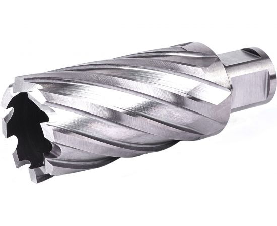 Фреза кольцевая №26 (32х55/88 мм; WELDON19; HSS M2) Профоснастка 40101026 