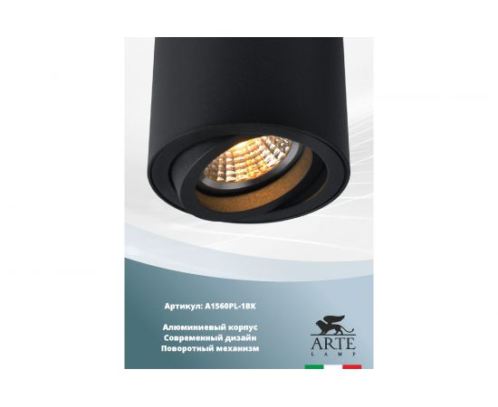 Потолочный светильник Arte Lamp A1560PL-1BK – изображение 2