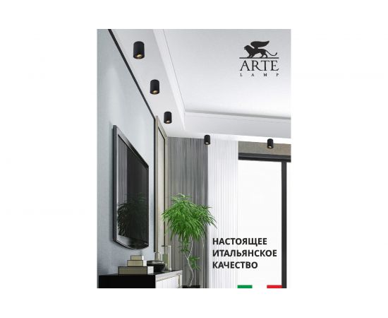 Потолочный светильник Arte Lamp A1560PL-1BK – изображение 4