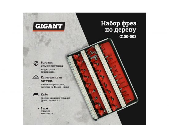 Набор фрез по дереву 35 предметов, хвостовик 8 мм Gigant G100-003 – изображение 8