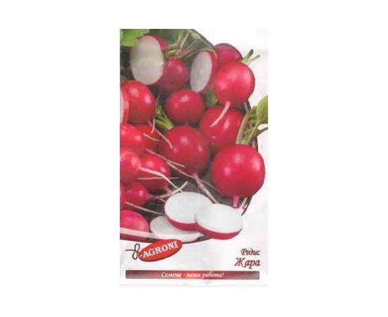 Семена Агрони Редис ЖАРА 6067 