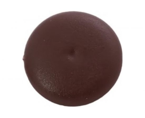 Заглушка на шуруп с крестообразным шлицем PZ 2 ЕВРОПАРТНЕР коричневая 100 шт. 16 1590 5 