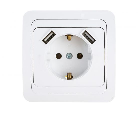 Одинарная розетка IN HOME с заземлением CLASSICO с двумя USB белая 2047 4690612035246 