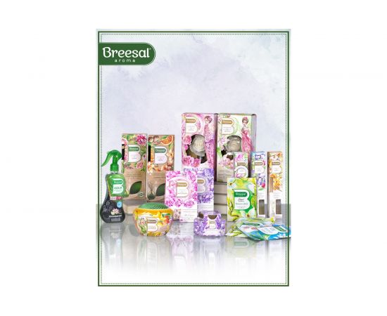 Декоративный ароматизатор Breesal Arome Sticks Жизненная энергия ARST/002 – изображение 12