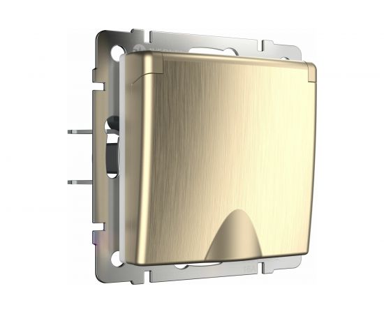 Розетка WERKEL, W1171210 влагозащита, с заземлением, с защитной крышкой и шторками, шампань рифленый a051416 